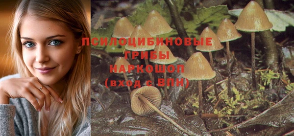 гидропоника Алексеевка