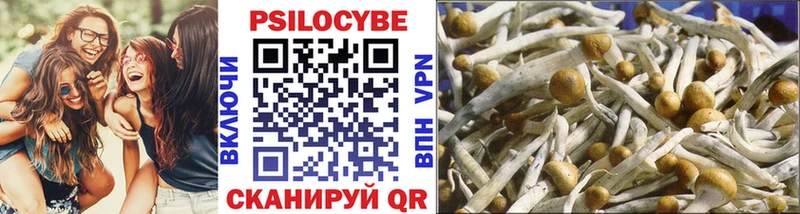 Галлюциногенные грибы GOLDEN TEACHER хочу Ревда